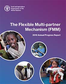 FMM - Annual Report 2019