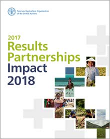 2017 Results Partnerships Impact 2018 