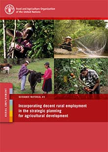 Incorporating decent rural employment in the strategic planning for agricultural development