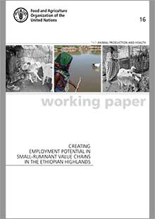 Creating employment potential in small-ruminant value chains in the Ethiopian Highlands
