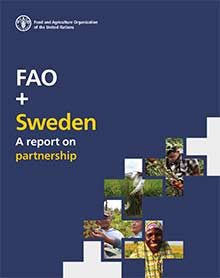 FAO + Sweden