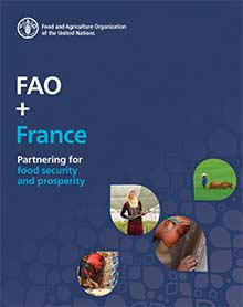 FAO + France
