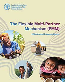 FMM - Annual Report 2020