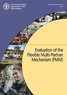 Evaluation of the Flexible Multi-Partner Mechanism (FMM)
