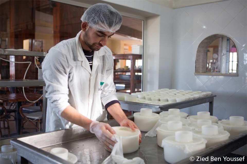 Capacitar a los jóvenes tunecinos para que inviertan en sistemas agroalimentarios
