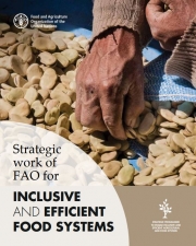 Strategic work of FAO for inclusive and efficient food systems