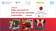 Webinar Slides and Q&A: Cities and Covid-19 - food access for vulnerable communities in practice