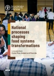 National processes shaping food systems transformations
