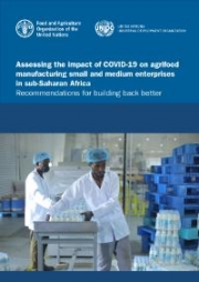 Assessing the impact of COVID-19 on agrifood manufacturing small and medium enterprises in sub-Saharan Africa
