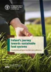 Ireland’s journey towards sustainable food systems