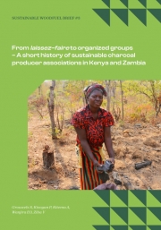 From laissez–faire to organized groups – A short history of sustainable charcoal producer associations in Kenya and Zambia