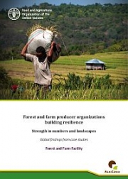 Forest and farm producer organizations building resilience – strength in numbers and landscapes 