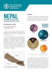 Sal leaves to scale – Women-led eco-enterprises in Dangisharan, Nepal