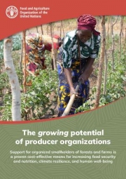 The growing potential of producer organizations - Support for organized smallholders of forests and farms is a proven cost-effective means for increasing food security and nutrition, climate resilience, and human well-being