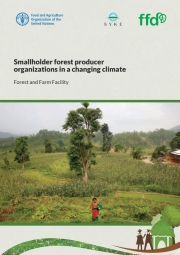 Smallholder forest producer organizations in a changing climate