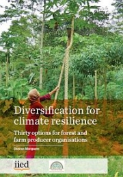 Diversification for climate resilience – thirty options for forest and farm producer organisations