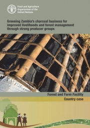 Greening Zambia’s charcoal business for improved livelihoods and forest management through strong producer groups