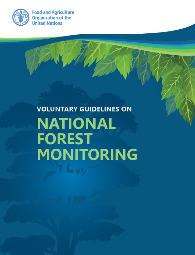Voluntary Guidelines on National Forest Monitoring Policy Support and