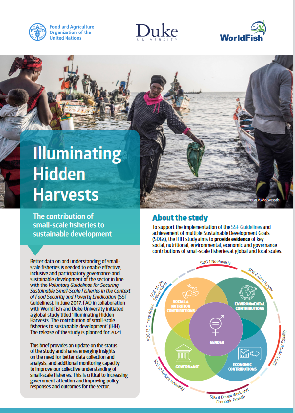 Illuminating Hidden Harvests - The contribution of small-scale fisheries to  sustainable development, Policy Support and Governance