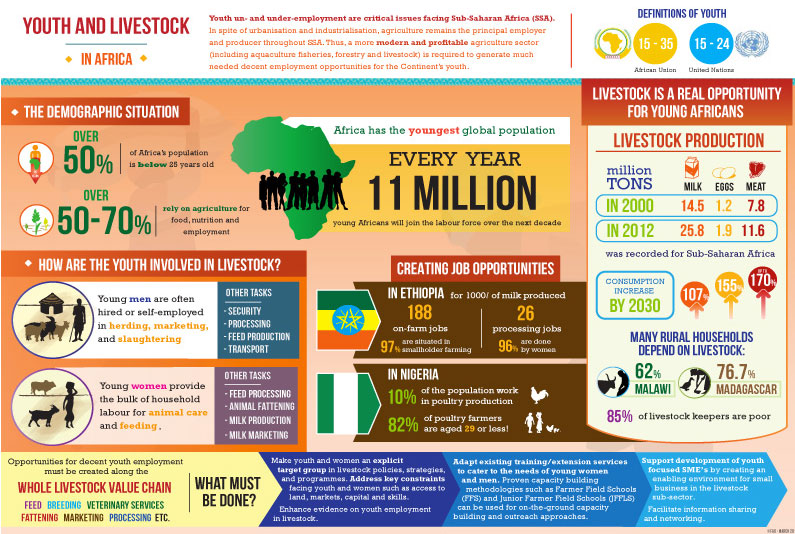 Youth and Livestock in Africa |Policy Support and Governance| Food