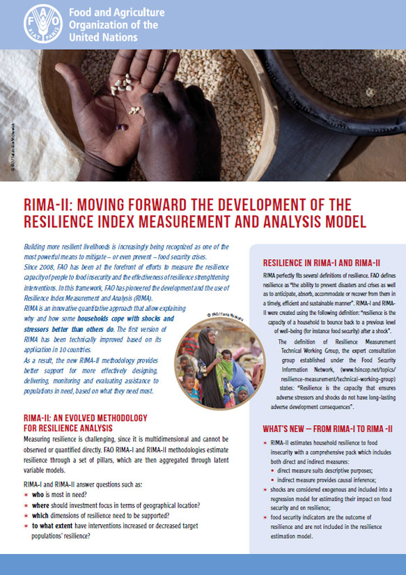 Analyse Organizational Performance, FAO Capacity Development