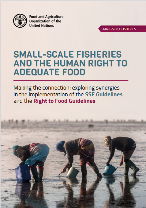 Small-scale fisheries and the human right to adequate food