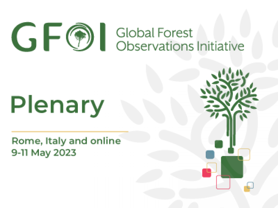 Global Forest Observations Initiative: News