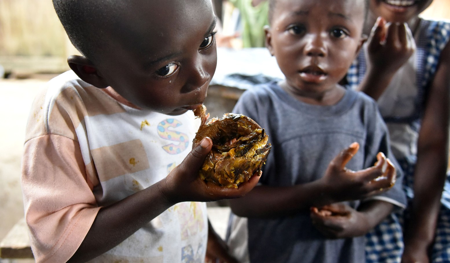 A case for fish to lead greater food security and nutrition outcomes | GLOBEFISH | Food and Agriculture Organization of the United Nations