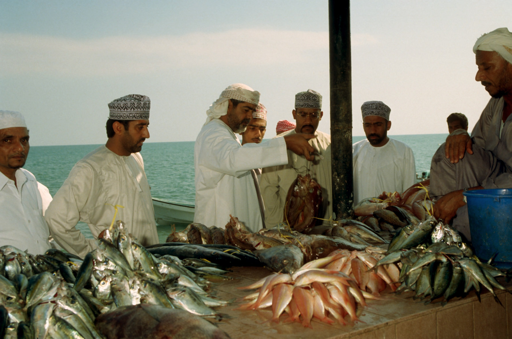 Рыбы персидского залива