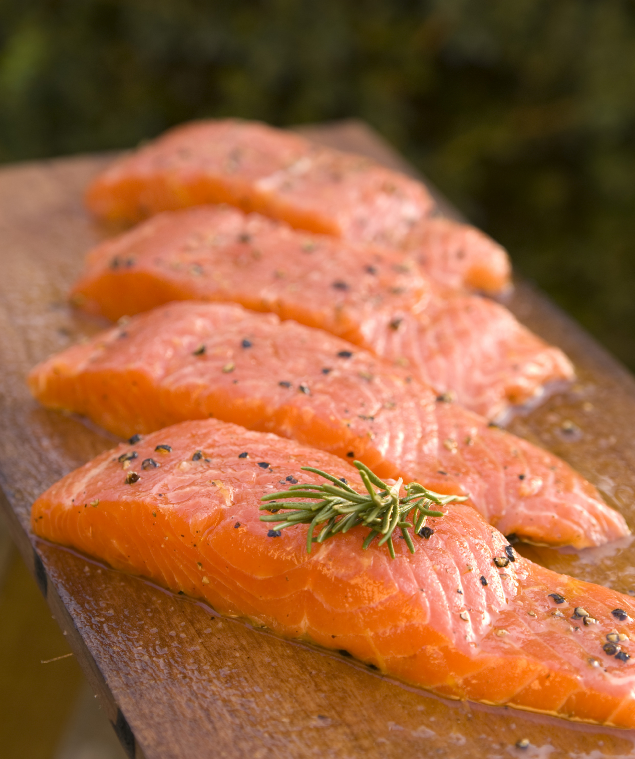 Salmon - September 2014 | GLOBEFISH | Food and Agriculture Organization of  the United Nations