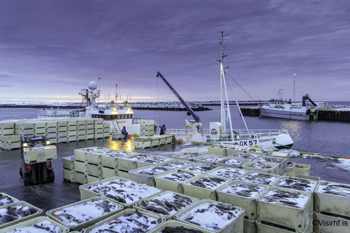 COVID19 Impact on global fish trade GLOBEFISH Food and