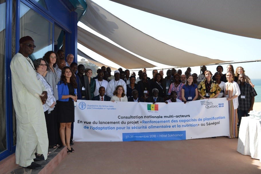 Participants at the consultation in Senegal.
