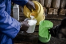 MAFAP and AgrInvest join forces with Uganda’s Dairy Development Authority in bid to boost dairy sector