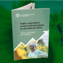 New MAFAP report out on public expenditure on food and agriculture in sub-Saharan Africa 