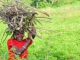 New publication online - Integrated Natural Resource Management in the Highlands of Eastern Africa