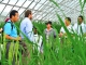 Better scientific understanding of agriculture role in climate change needed