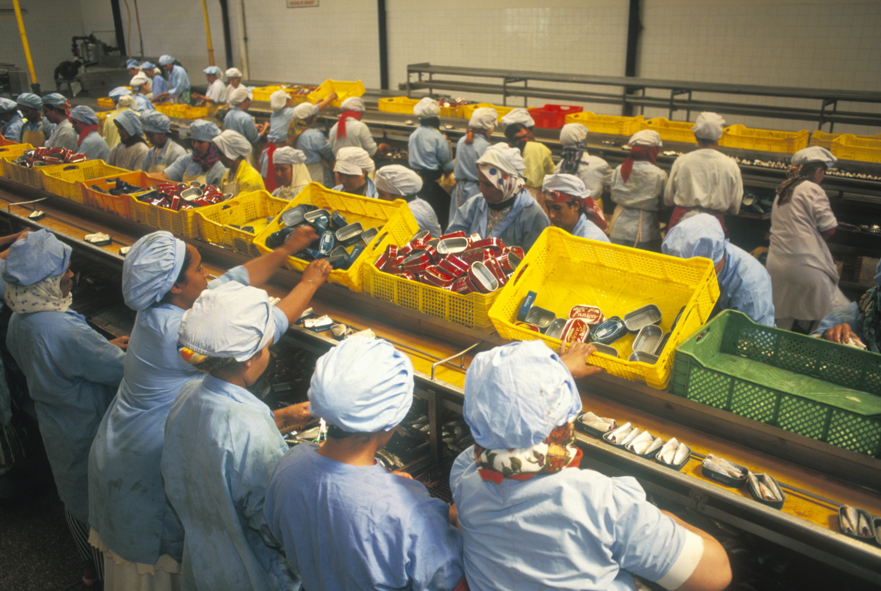 FAO News Article Monitoring Food Loss And Waste Essential To Hunger 