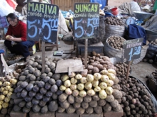 Photo: ©FAO/Sandro Cespoli