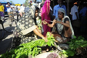 FAO - Nouvelles: Feeding Bangladesh's growing population amid rising climate challenges