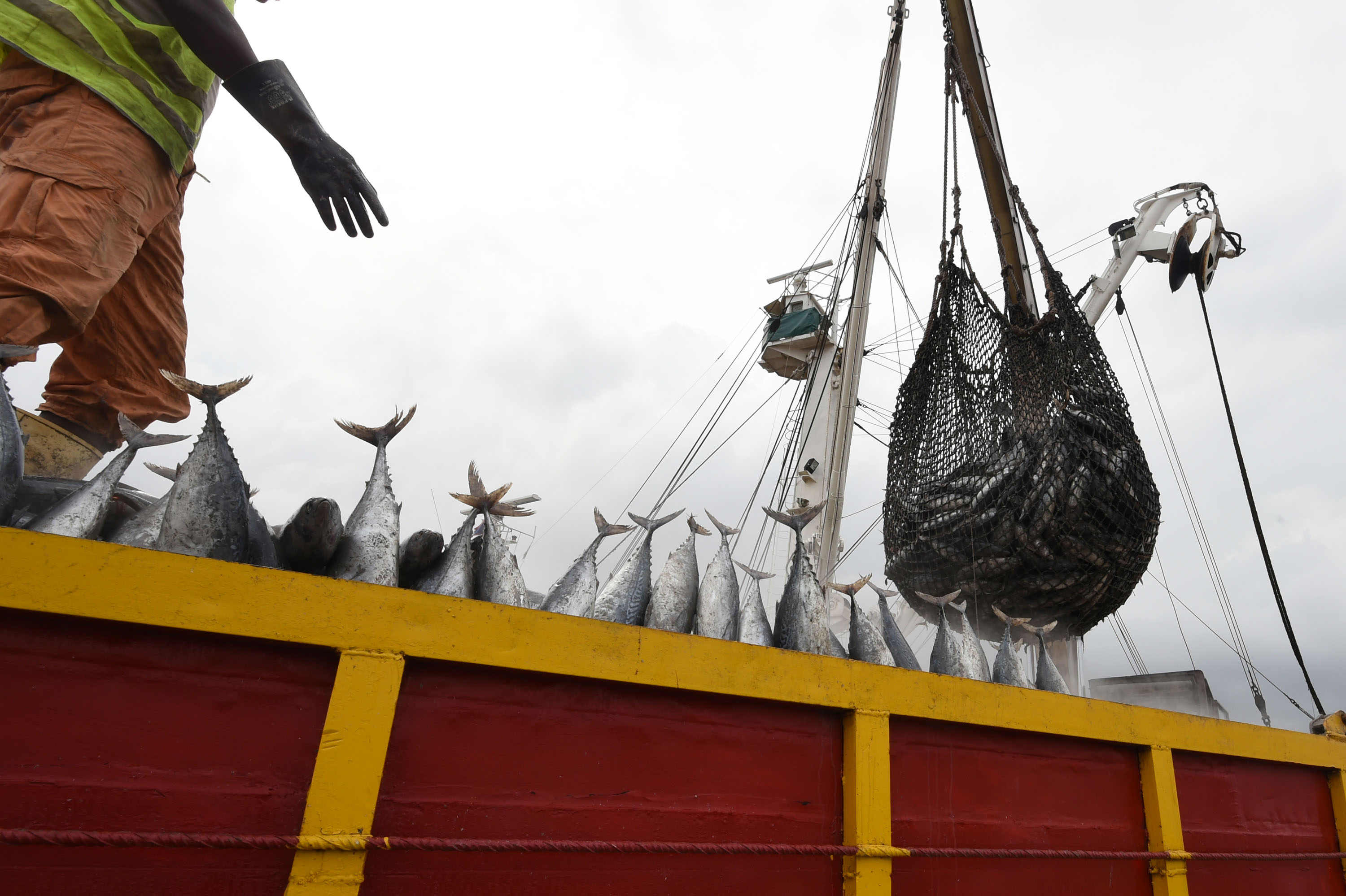 FAO News Article Con L Accordo Sulle Misure Dello Stato Di Approdo 