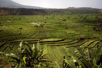 Photo: ©FAO/J. Micaud