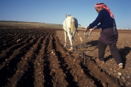 Photo: ©FAO/Florita Botts