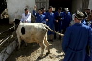 Photo: ©FAO/Vasily Maximov