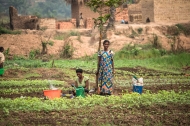 Photo: ©FAO/Junior D. Kannah