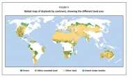 FAO: Trees, forests and land use in drylands: The first global assessment
