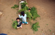 Photo: ©FAO/Ami Vitale