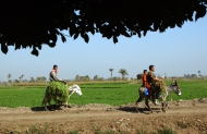Photo: ©FAO/Ami Vitale