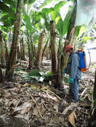 Photo: ©Ministerio de Agricultura de Ecuador