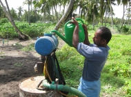 Foto: ©FAO/Harry vanderWulp