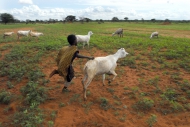 Photo: ©FAO/Ami Vitale